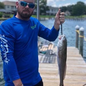 Meet your Posher, Brian